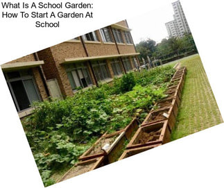 What Is A School Garden: How To Start A Garden At School