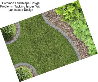 Common Landscape Design Problems: Tackling Issues With Landscape Design