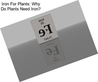 Iron For Plants: Why Do Plants Need Iron?