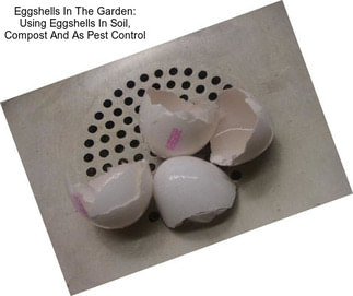 Eggshells In The Garden: Using Eggshells In Soil, Compost And As Pest Control