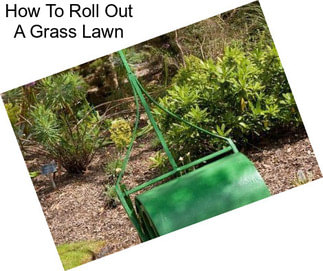 How To Roll Out A Grass Lawn