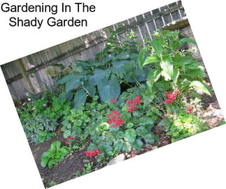 Gardening In The Shady Garden
