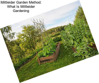 Mittleider Garden Method: What Is Mittleider Gardening