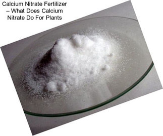 Calcium Nitrate Fertilizer – What Does Calcium Nitrate Do For Plants