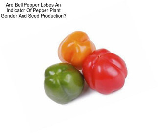 Are Bell Pepper Lobes An Indicator Of Pepper Plant Gender And Seed Production?