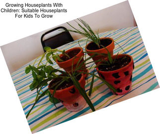 Growing Houseplants With Children: Suitable Houseplants For Kids To Grow