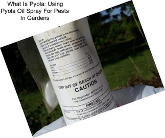 What Is Pyola: Using Pyola Oil Spray For Pests In Gardens