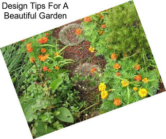 Design Tips For A Beautiful Garden