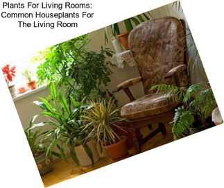 Plants For Living Rooms: Common Houseplants For The Living Room