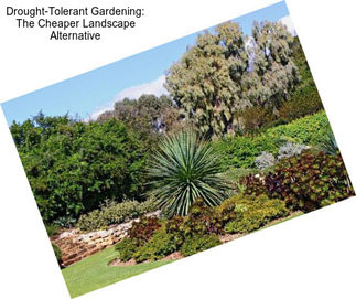 Drought-Tolerant Gardening: The Cheaper Landscape Alternative