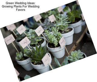 Green Wedding Ideas: Growing Plants For Wedding Favors