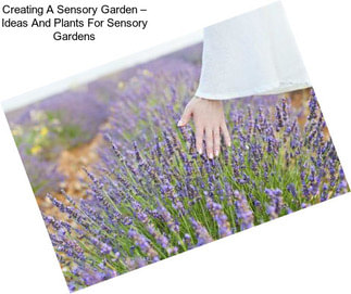 Creating A Sensory Garden – Ideas And Plants For Sensory Gardens