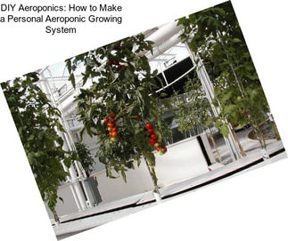 DIY Aeroponics: How to Make a Personal Aeroponic Growing System