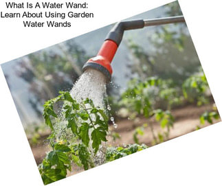 What Is A Water Wand: Learn About Using Garden Water Wands