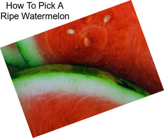 How To Pick A Ripe Watermelon