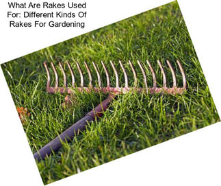 What Are Rakes Used For: Different Kinds Of Rakes For Gardening