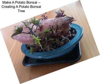 Make A Potato Bonsai – Creating A Potato Bonsai Tree