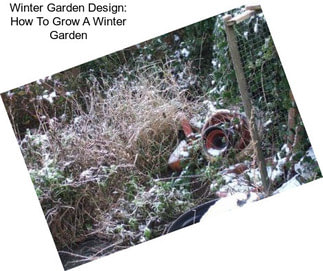 Winter Garden Design: How To Grow A Winter Garden