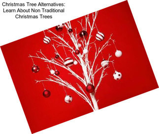 Christmas Tree Alternatives: Learn About Non Traditional Christmas Trees