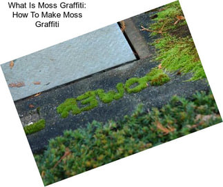 What Is Moss Graffiti: How To Make Moss Graffiti