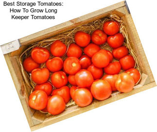 Best Storage Tomatoes: How To Grow Long Keeper Tomatoes