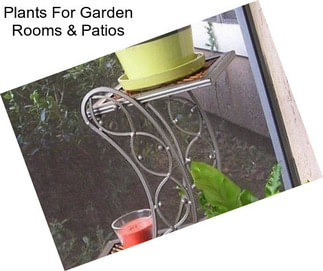 Plants For Garden Rooms & Patios