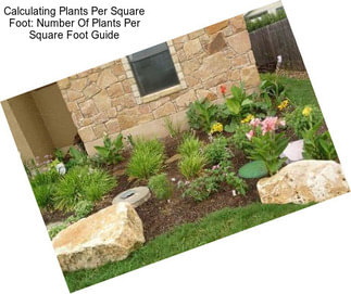 Calculating Plants Per Square Foot: Number Of Plants Per Square Foot Guide