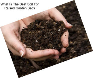 What Is The Best Soil For Raised Garden Beds