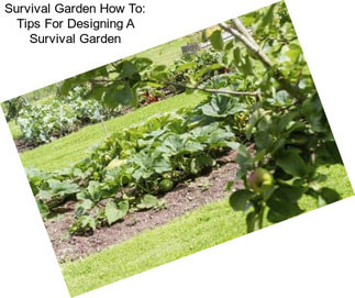Survival Garden How To: Tips For Designing A Survival Garden