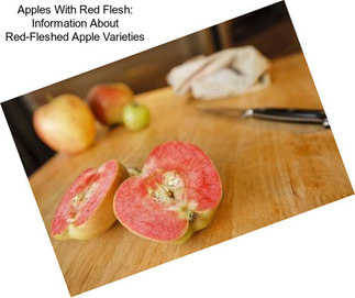 Apples With Red Flesh: Information About Red-Fleshed Apple Varieties