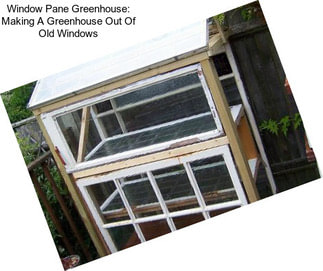 Window Pane Greenhouse: Making A Greenhouse Out Of Old Windows