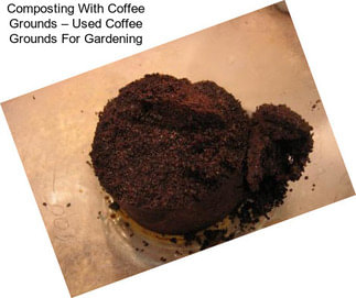 Composting With Coffee Grounds – Used Coffee Grounds For Gardening