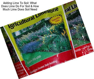 Adding Lime To Soil: What Does Lime Do For Soil & How Much Lime Does Soil Need