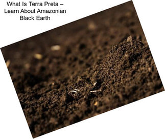 What Is Terra Preta – Learn About Amazonian Black Earth