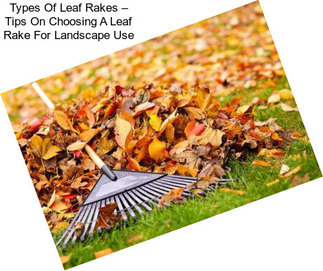 Types Of Leaf Rakes – Tips On Choosing A Leaf Rake For Landscape Use