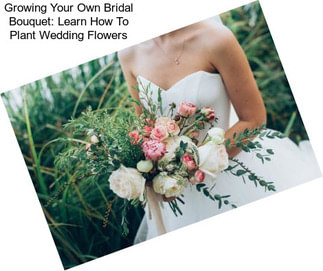 Growing Your Own Bridal Bouquet: Learn How To Plant Wedding Flowers