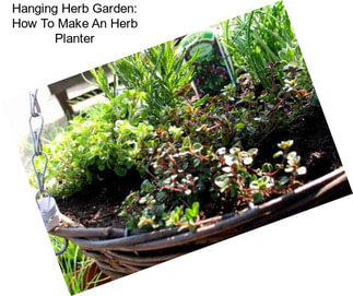 Hanging Herb Garden: How To Make An Herb Planter