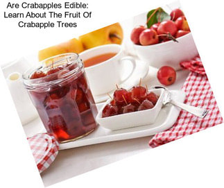 Are Crabapples Edible: Learn About The Fruit Of Crabapple Trees