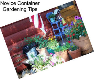 Novice Container Gardening Tips