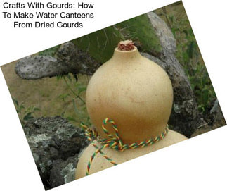 Crafts With Gourds: How To Make Water Canteens From Dried Gourds