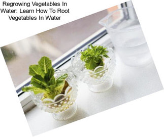 Regrowing Vegetables In Water: Learn How To Root Vegetables In Water