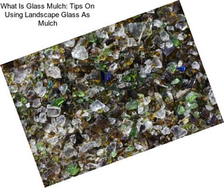 What Is Glass Mulch: Tips On Using Landscape Glass As Mulch