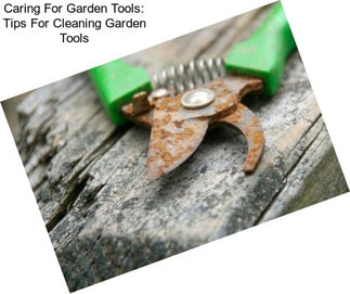Caring For Garden Tools: Tips For Cleaning Garden Tools