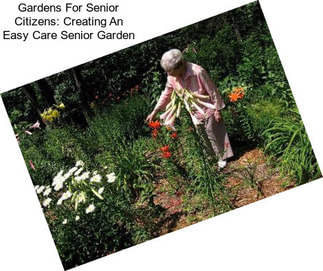 Gardens For Senior Citizens: Creating An Easy Care Senior Garden