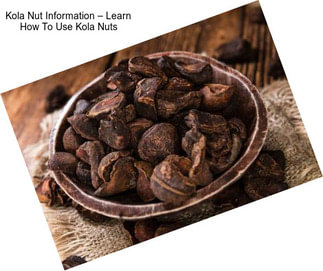 Kola Nut Information – Learn How To Use Kola Nuts
