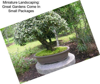 Miniature Landscaping: Great Gardens Come In Small Packages