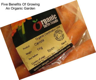 Five Benefits Of Growing An Organic Garden