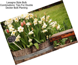 Lasagna Style Bulb Combinations: Tips For Double Decker Bulb Planting