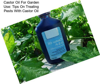 Castor Oil For Garden Use: Tips On Treating Pests With Castor Oil