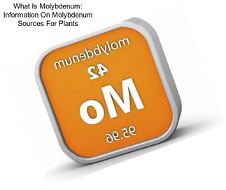 What Is Molybdenum: Information On Molybdenum Sources For Plants